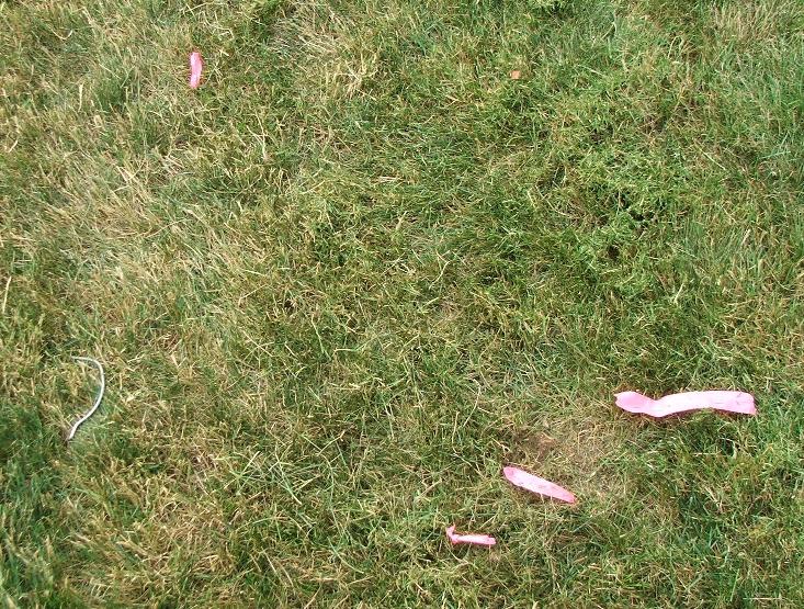 Click for original image 706k 1465x1109